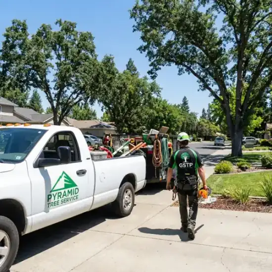 HLI Tree Experts truck arriving at a Irvine residential job